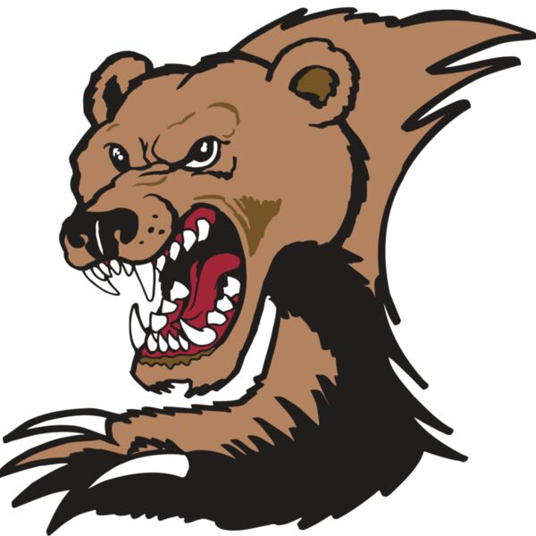 AR BEAR 56 RC Thumbnail