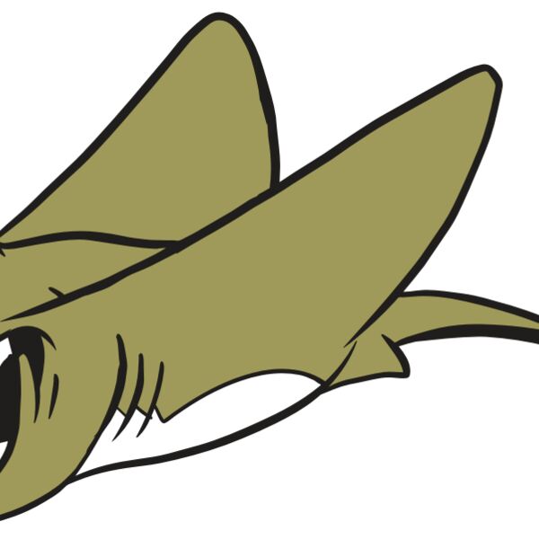 AR19 STINGRAY 07 RQC Thumbnail