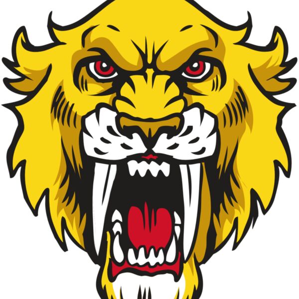 AR30 SABER 06 RQC Thumbnail