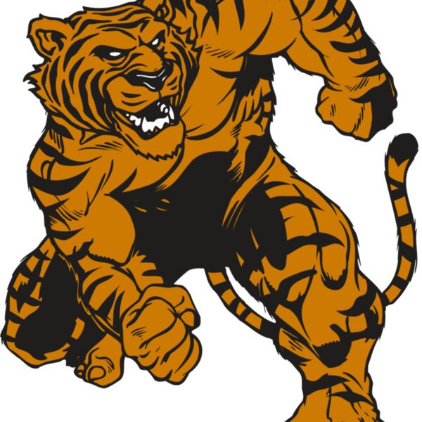 AR TIGER 58 RC Thumbnail