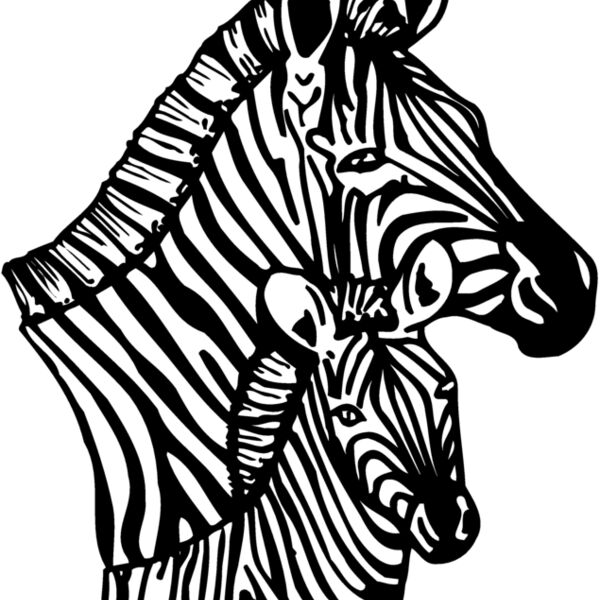 ZEBRA002 Thumbnail